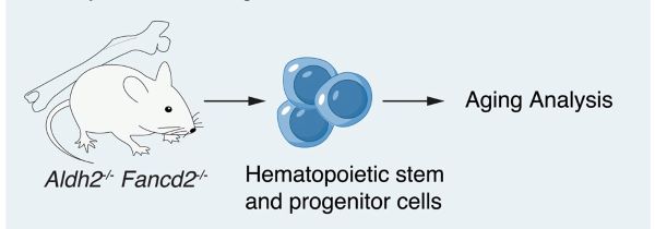 Molecular cell research image link