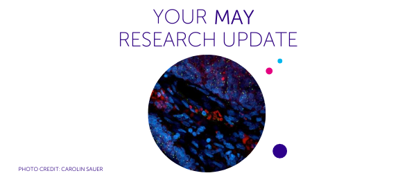 Your May Research Update