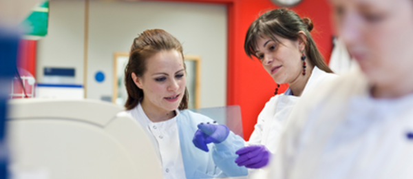 Scientists working in lab